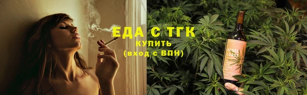 хмурый Алзамай