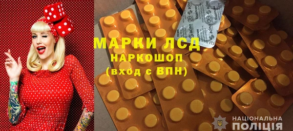 хмурый Алзамай