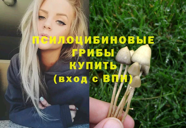 хмурый Алзамай