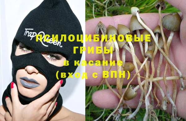 мескалин Алексеевка