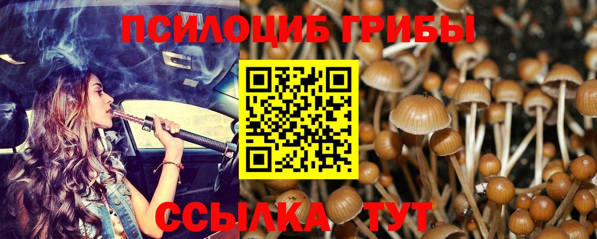 Псилоцибиновые грибы GOLDEN TEACHER Большой Камень